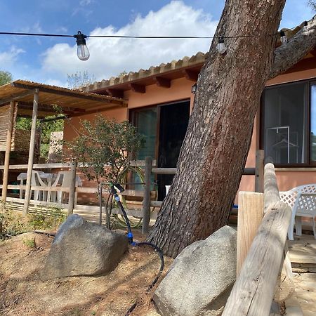 Готель Casa Daniela Торре-делле-Стелле Екстер'єр фото